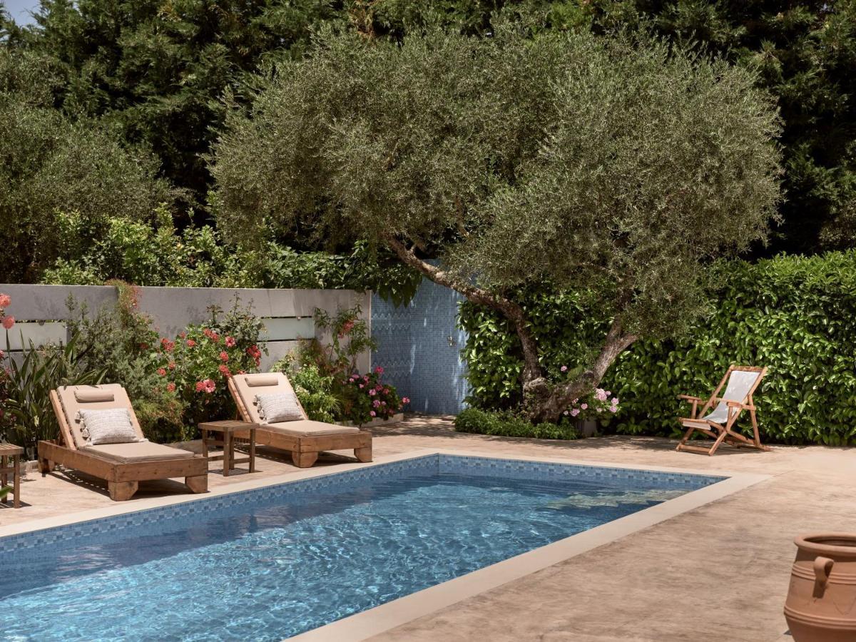 Jasmine Suites With Private Pool Tsilivi  Eksteriør billede